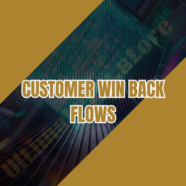 Customer Win Back Flows